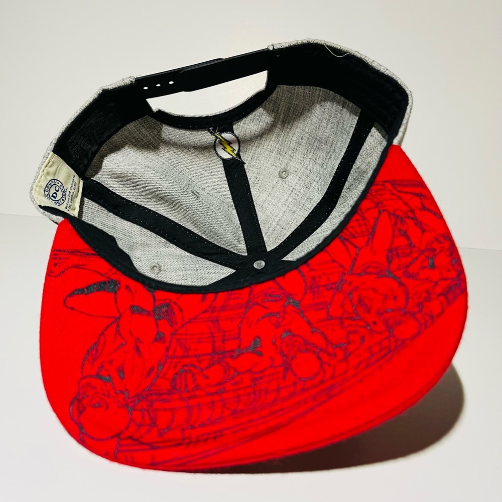 The flash SnapBack - Picture 3 of 3
